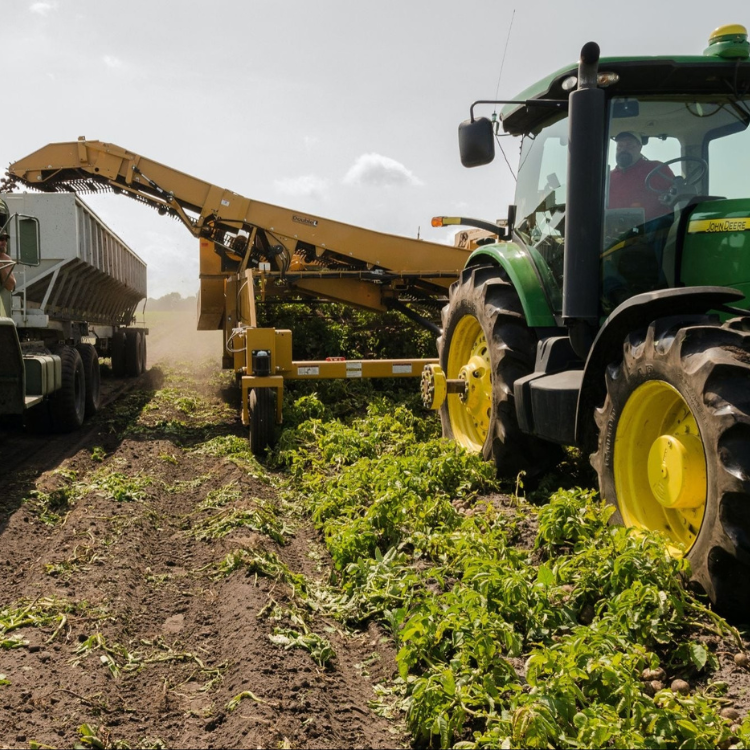 Agriculture