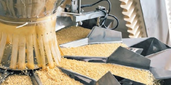 Food Industry